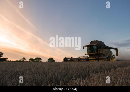 Mähdrescher bei der Ernte in England Stockfoto