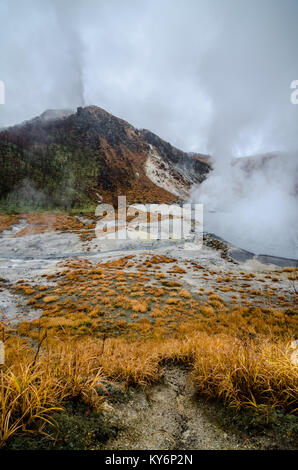 Schönen Tal der Hölle Jigokudani oder 'Tal', nur oberhalb der Stadt Noboribetsu Onsen, die heißen Dampf Öffnungen zeigt. Stockfoto