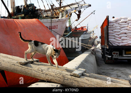 Sunda Kelapa liegt der alte Hafen von Jakarta, wo die Fracht kann gesehen werden geladen und von der markanten Pinisi 2-Mast Segler. Stockfoto