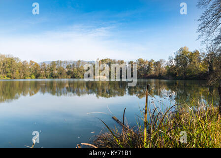 Kleiner See, Teich oder steinbruch der Öfen am Naturschutzgebiet Brabbia Marsh, Provinz Varese, Italien Stockfoto