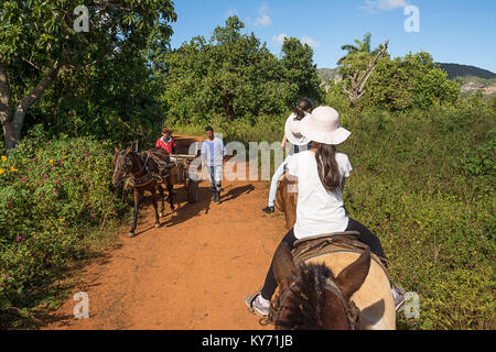 Vinales, Kuba - Dezember 5, 2017: Zusammenleben zwischen Touristen auf dem Pferderücken und Kubaner mit dem Wagen im Tal von Vinales (Kuba) Stockfoto