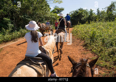 Vinales, Kuba - Dezember 5, 2017: Zusammenleben zwischen Touristen auf dem Pferderücken und Kubaner mit dem Wagen im Tal von Vinales (Kuba) Stockfoto