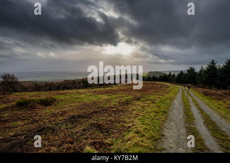 Der Blick südwärts über Herefordshire, von hohen Vinnals in Mortimer Wald, in der Nähe von Ludlow, Shropshire, Großbritannien Stockfoto