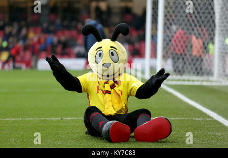 Watford Maskottchen Harry Hornissen vor dem Kick-off in der Premier League Match an der Vicarage Road, Watford Stockfoto