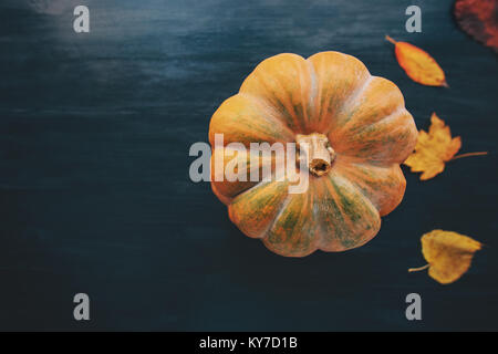 Kürbis mit gelben Blätter fallen auf dunklem Hintergrund Herbst saisonal Konzept Symbol von Halloween Urlaub top View Stockfoto
