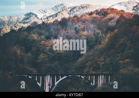 Eisenbahnbrücke und verschneite Berge Landschaft mit Wald reisen Landschaften epischen anzeigen Stockfoto