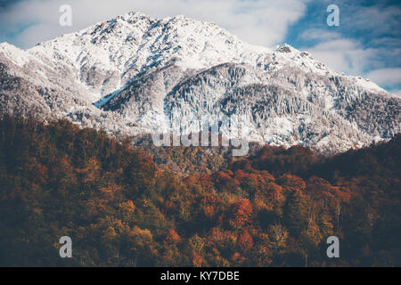 Snowy Mountains mit Herbst Wald Landschaft Hintergrund Reisen ruhigen malerischen Blick Stockfoto