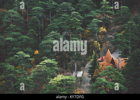 Nadelwald und haus dach Landschaft Antenne Bäume Hintergrund Reisen ruhige Landschaft Stockfoto