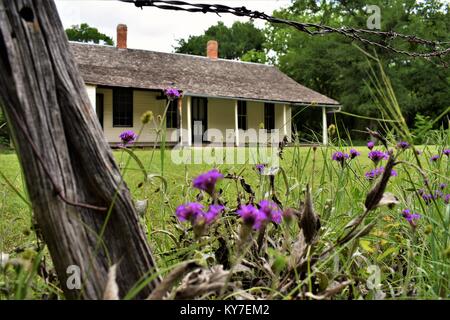 Ranch House mit violetten wilden Blumen. Stockfoto