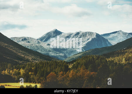 Berge und Wald Landschaft in Norwegen Luftaufnahme der skandinavischen Natur Reise Wüste Stockfoto