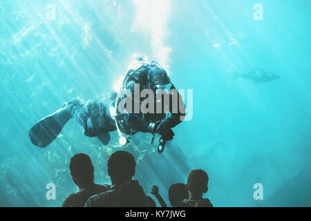 Scuba Diver Unterwasser in Fisch Aquarium Attraktion Unterhaltung nicht erkennbare Personen Sightseeing Stockfoto