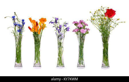 Eine Reihe von verschiedenen Wildblumen in transparenten Vasen. Frühling Blumen auf weißem Hintergrund. Ein Blumenstrauß aus Tulpen, Kornblumen, Mohnblumen, Kamille Stockfoto