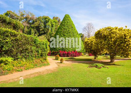 KANDY, SRI LANKA - 21. FEBRUAR 2017: peradeniya Royal Botanic Gardens in der Nähe von Kandy, Sri Lanka. Peradeniya Royal Botanic Gardens sind die la Stockfoto