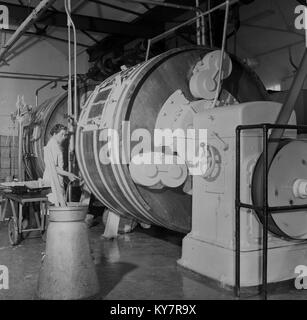 1950, historische, weibliche Molkerei Arbeiter im weißen Mantel die Kontrolle einer Pipe zu einem grossen Faß - mechanische Butter churn verbunden, Irland. Stockfoto