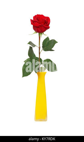 Schöne rote Rose in gelb Keramik Vase auf weißem Hintergrund mit Freistellungspfad isoliert Stockfoto
