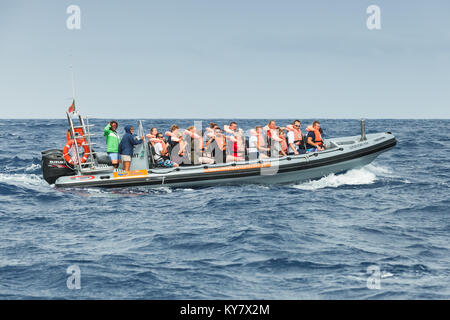 Funchal, Portugal - 24. August 2017: Touristen sind in einem schnellen Motorboot während Wale und Delphine beobachten Reise Stockfoto