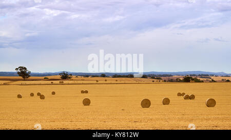 Traditionelle Landschaft im Barossa Valley, South Australia, Australien Stockfoto