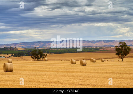 Traditionelle Landschaft im Barossa Valley, South Australia, Australien Stockfoto