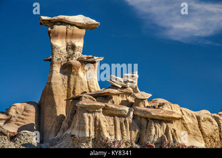 Braun Hoodoos Bereich Formationen, Bisti De-Na-Zin Wilderness, New Mexico, USA Stockfoto