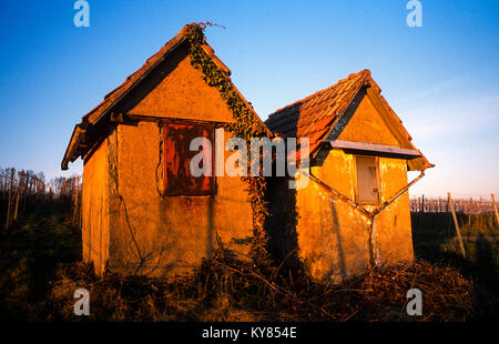 Weinberg Hütte in der Nähe von weingarten Baden-Württemberg Deutschland Stockfoto