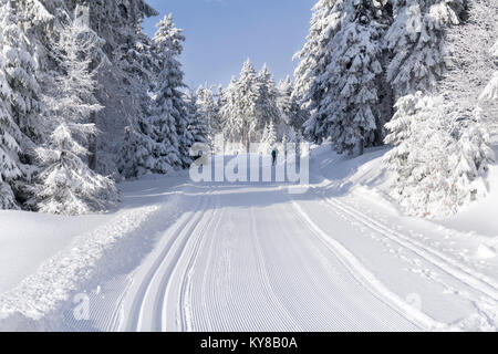 Präparierte Loipe im sonnigen Wintertag in den Bergen unterwegs. Bäume, die mit Reif und Schnee von der Sonne beschienen, blauer Himmel. Stockfoto