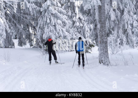 Gespurte Loipen zum Langlaufen mit zwei Langläufer im Winter sonniger Tag, Bäume, bedeckt mit Raureif von der Sonne beleuchtet. Stockfoto