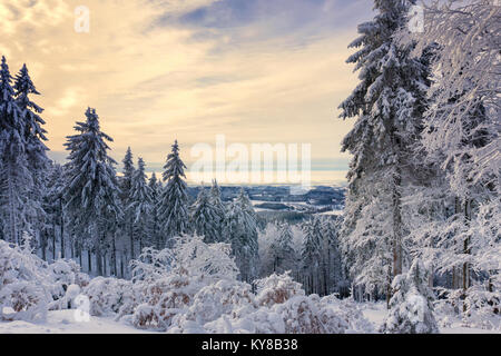 Winterlandschaft, Bäume in den Bergen mit Raureif im sonnigen Tag bedeckt, dramatische Wolken im Himmel Stockfoto