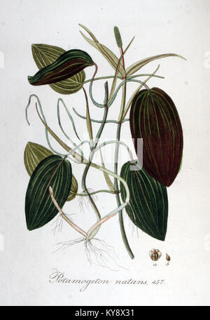 Die Kirche St. Demetrius in Markova Sušica enthält Gemälde, die christliche Themen mit byzantinischen Stilelementen darstellen. Stockfoto