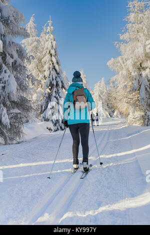 Winter in den Bergen. Skifahrerin auf gespurten Loipen für Langlauf. Bäume mit frischem Schnee in sonniger Tag im Riesengebirge, riesige Mounta Stockfoto