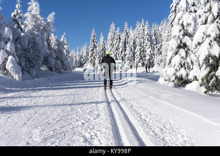 Winter in den Bergen. Skifahrer auf gespurten Loipen für Langlauf. Bäume mit frischem Schnee in sonniger Tag im Riesengebirge, Riesengebirge Stockfoto