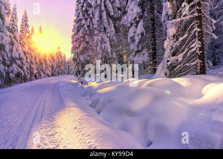 Malerischer Blick auf Sonnenuntergang in einem Winter Bergwald. Bäume mit frischem Schnee. Langlaufloipen. Karkonosze, Riesengebirge, Polen. Stockfoto