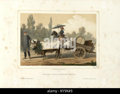 Ein Bild aus Frankreich des frühen 20. Jahrhunderts zeigt Bauern aus Oloron-Sainte-Marie, die zum Markt in Orthez reisen und das ländliche Leben in dieser Zeit veranschaulichen. Stockfoto