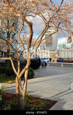 Der frühe Frühling blühen auf einen Baum am Südufer der Themse im Zentrum von London. Blüte und blühender Bäume in der Stadt von London. Stockfoto