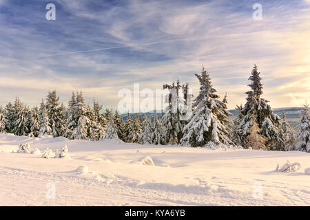 Berg Winter Landschaft, Bäume in den Bergen mit Reif und Schnee von der Sonne beleuchtete am späten Nachmittag abgedeckt. Jakuszyce, Riesengebirge, Stockfoto