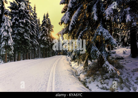 Sonnenuntergang in den Bergen im Winter mit Bäumen bedeckt mit frischem Schnee und von der Sonne beschienen. Langlaufloipen präparierte Loipen im Riesengebirge. Stockfoto