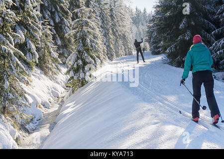 Langläufer verläuft entlang einer gespurten Loipe. Straße in den Bergen im Winter sonniger Tag. Bäume mit Raureif. Isergebirge, Tschechien. Stockfoto