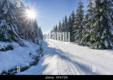 Straße in den Bergen mit präparierten Ski Trail und Stream neben im Winter im sonnigen Tag. Bäume, die mit Reif und Schnee von der Sonne beleuchtet. Stockfoto