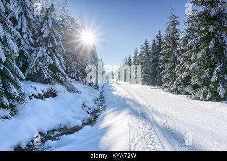 Straße in den Bergen mit präparierten Ski Trail und Stream neben im Winter im sonnigen Tag. Bäume, die mit Reif und Schnee von der Sonne beleuchtet. Stockfoto