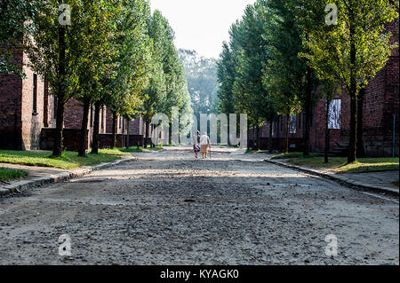 Premier Szydło ich papież Franciszek w Muzeum Auschwitz-Birkenau - 28595192566 Stockfoto