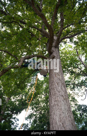 Nationaler Verband der Landschaft Professionals' 21. jährliche Erneuerung und Erinnerung auf dem Arlington National Cemetery (35947494116) Stockfoto