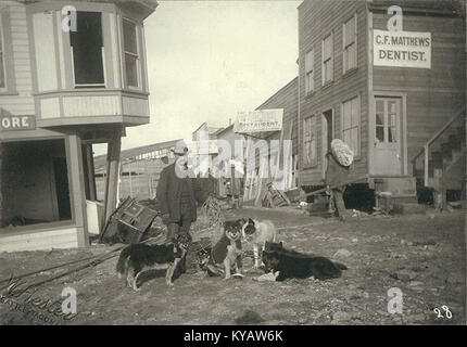 Eine Fotografie aus der Zeit um 1900 zeigt einen Mann in Nome, Alaska, begleitet von sechs Hunden, die das Leben des frühen 20. Jahrhunderts und die Interaktion zwischen Mensch und Tier in arktischen Regionen veranschaulichen. Stockfoto
