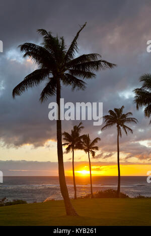 Palmen entlang der felsigen Küste im Napili Punkt bei Sonnenuntergang auf Maui, Hawaii. Stockfoto