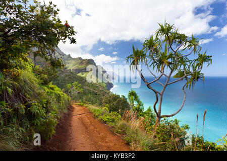 Blick entlang der Na Pali Küste aus dem kalalau Trail in Kauai, Hawaii. Stockfoto