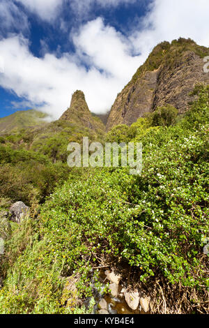 Die berühmten Iao Needle in der Iao Valley State Park auf Maui, Hawaii. Stockfoto