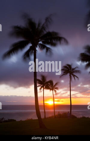 Palmen entlang der felsigen Küste im Napili Punkt bei Sonnenuntergang auf Maui, Hawaii. Stockfoto