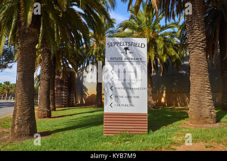 Seppeltsfield Winery in der bekannten Weinregion Barossa Valley, South Australia, Australien Stockfoto