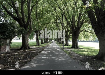 Langen und geraden Allee in öffentlichen Park mit grossen Bäumen auf der Seite Stockfoto