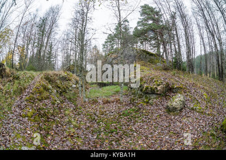 Landsverk 4, Evje Mineralsti. Im Spätherbst gibt es keine Blätter und Reliquien im Wald sichtbar sind, so ist es die beste Zeit, diesen Ort zu besuchen. Stockfoto