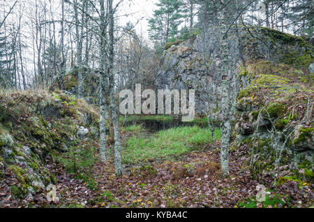 Landsverk 4, Evje Mineralsti. Im Spätherbst gibt es keine Blätter und Reliquien im Wald sichtbar sind, so ist es die beste Zeit, diesen Ort zu besuchen. Stockfoto