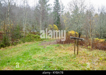 Landsverk 3, Evje Mineralsti. Im Spätherbst gibt es keine Blätter und Reliquien im Wald sichtbar sind, so ist es die beste Zeit, diesen Ort zu besuchen. Stockfoto